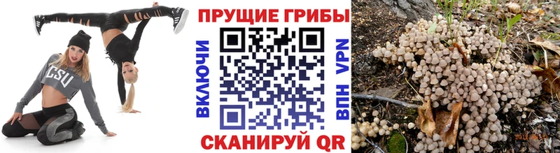 Псилоцибиновые грибы ЛСД  хочу   Сочи 