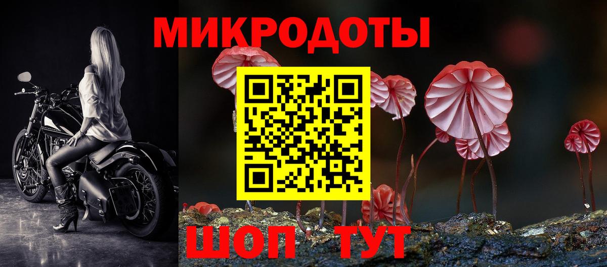 Псилоцибиновые грибы мухоморы Сочи