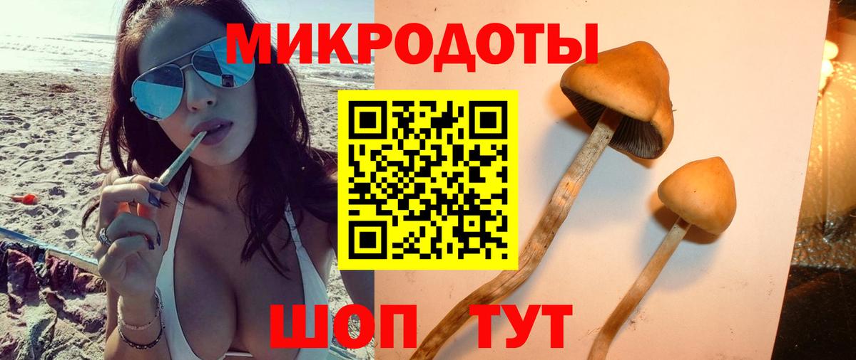 Галлюциногенные грибы GOLDEN TEACHER  купить  сайты  Сочи  Вход с VPN 